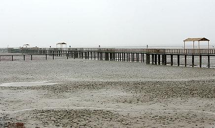 《荒野守护者崛起》Steam上线 幻想风肉鸽射击